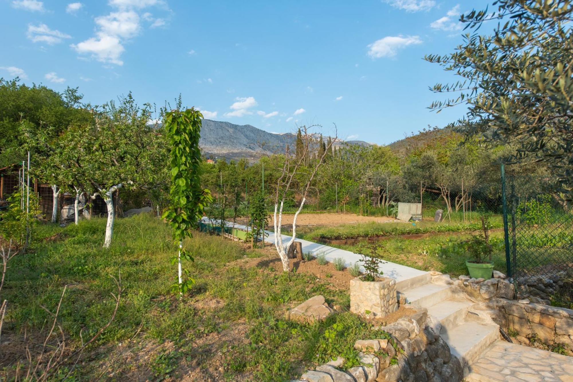 Вилла Peace Point Zrnovnica Экстерьер фото